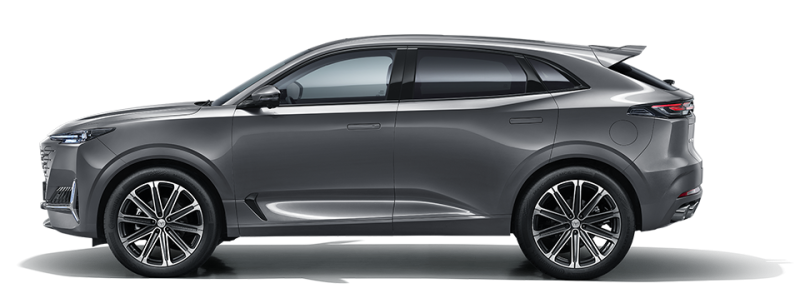 Звездный серый